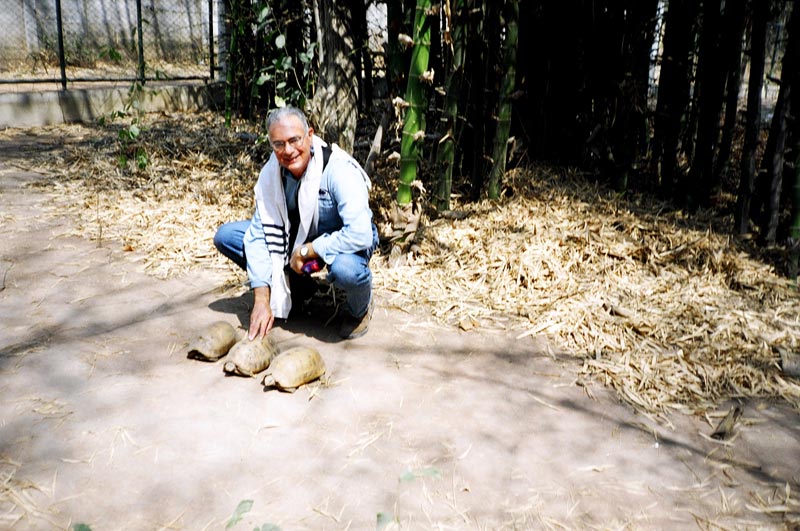 Turtle Village, Mancha Kiri, Thailand