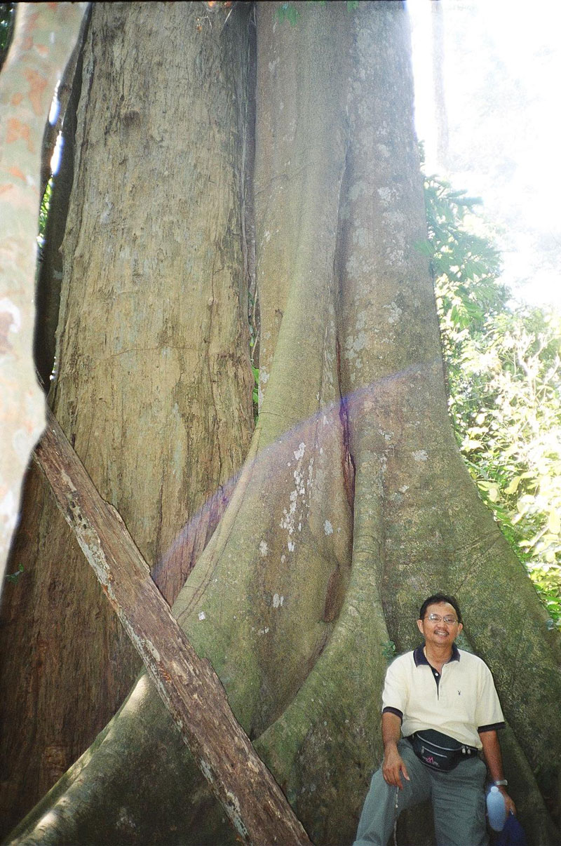 Kao Yai National Park, Pak Chong, Thailand