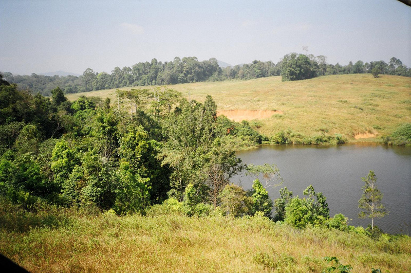 Kao Yai National Park, Pak Chong, Thailand