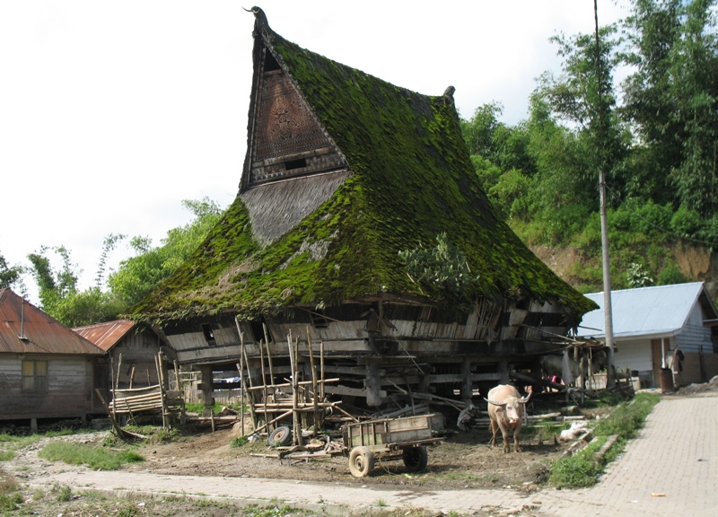 Dokan Village, Sumatra, Indonesia