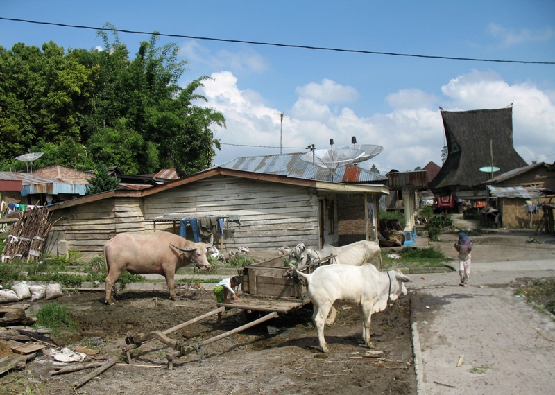 Dokan Village, Sumatra, Indonesia