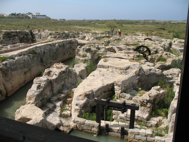 Crocodile Stream, Kabara Valley, Israel