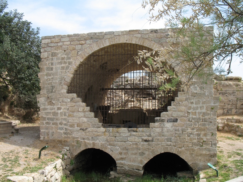 Crocodile Stream, Kabara Valley, Israel