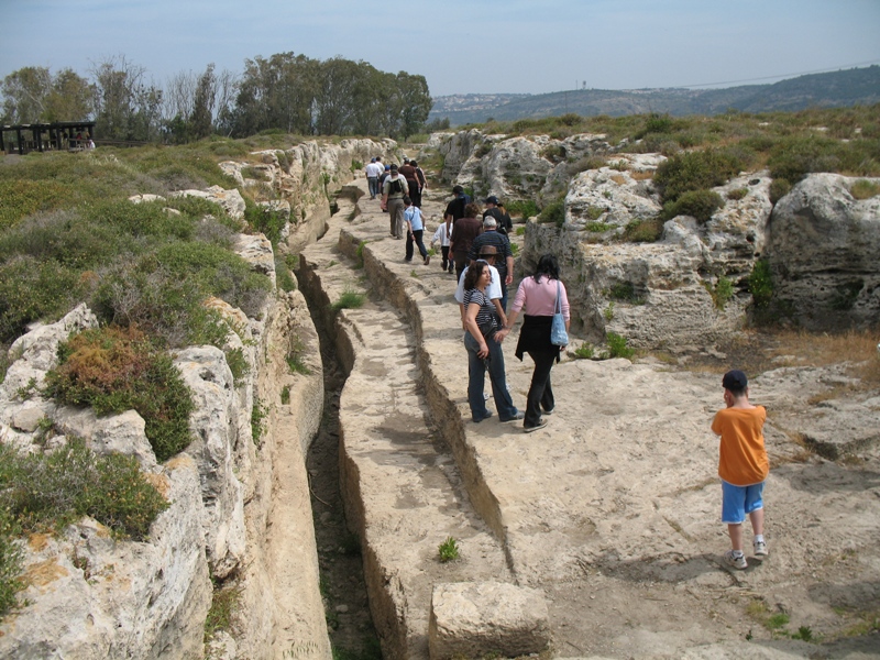 Crocodile Stream, Kabara Valley, Israel