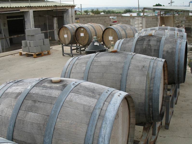 Tishbi Winery, Zichron Yaacov, Israel