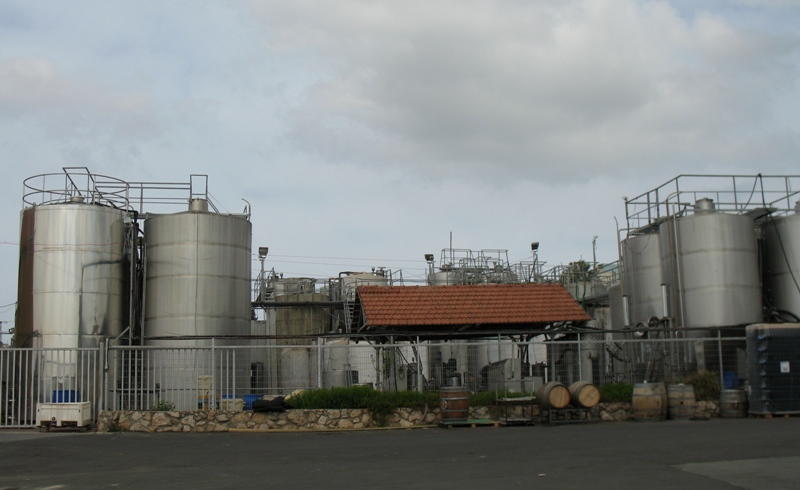 Tishbi Winery, Zichron Yaacov, Israel