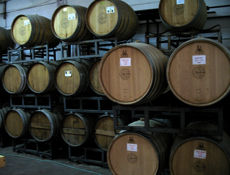 Tishbi Winery, Zichron Yaacov, Israel