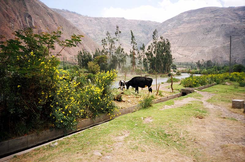 Sacred Valley, Peru