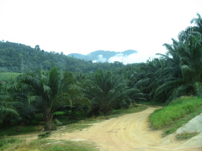 East - West Highway, Malaysia 