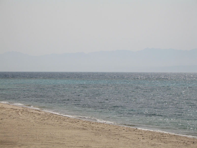 Gulf of Aqaba, Egypt 