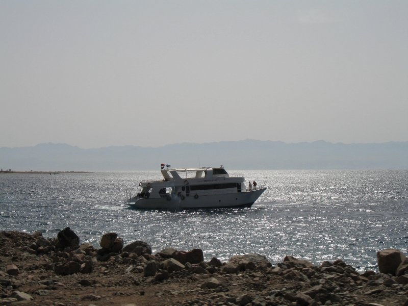 Gulf of Aqaba, Egypt 