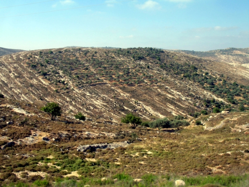 The West Bank 