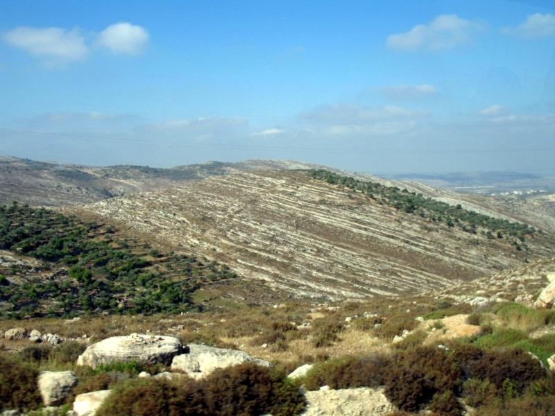 The West Bank 