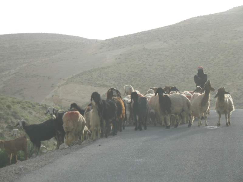 King"s Highway, Jordan 