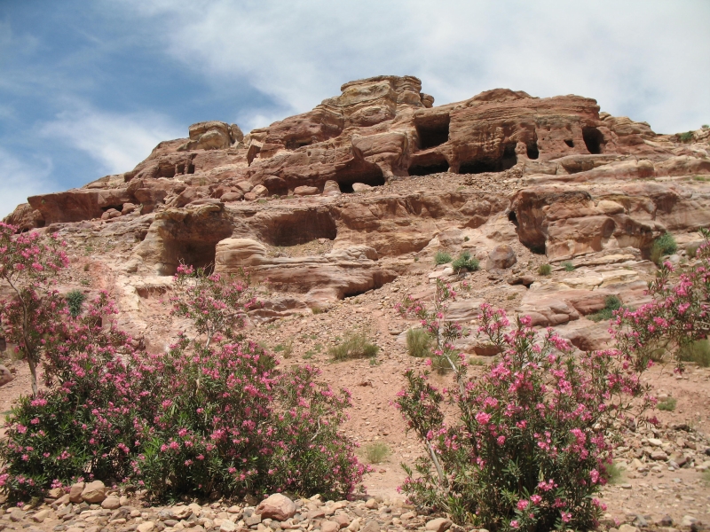 Caves, Petra, Jordan