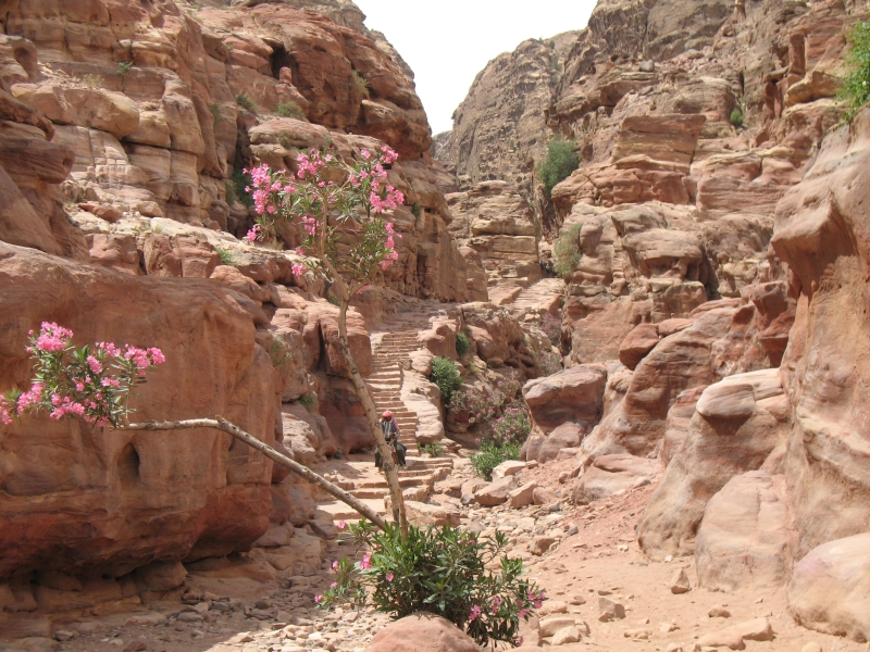 Petra, Jordan