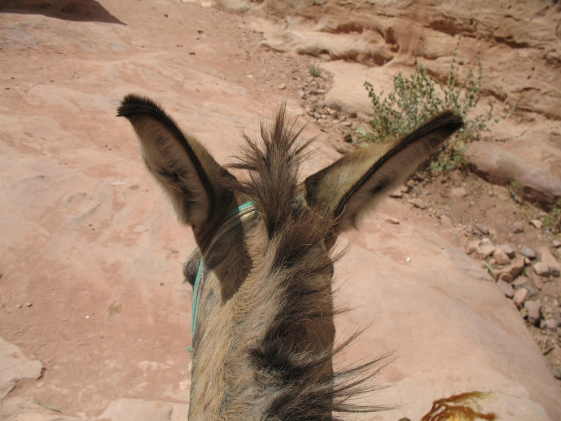 Petra, Jordan