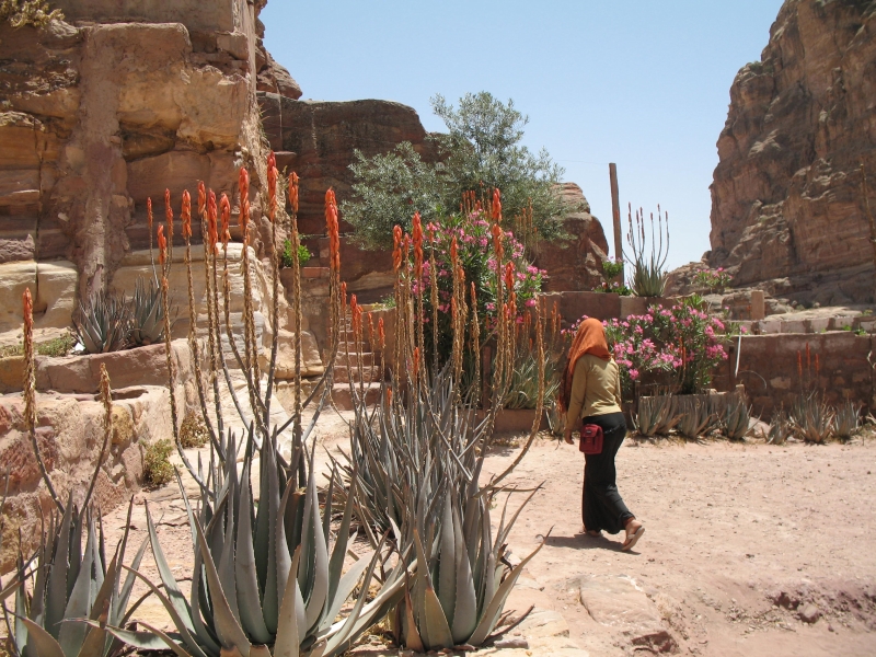 Petra, Jordan