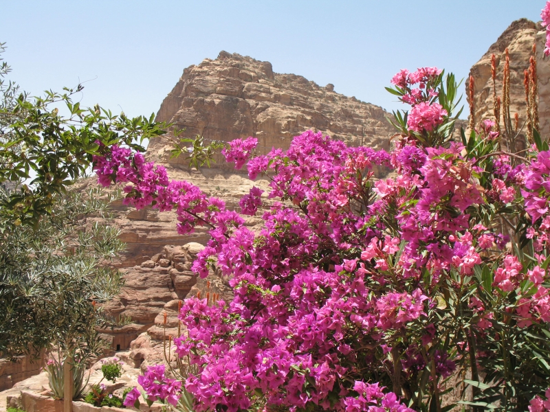 Petra, Jordan