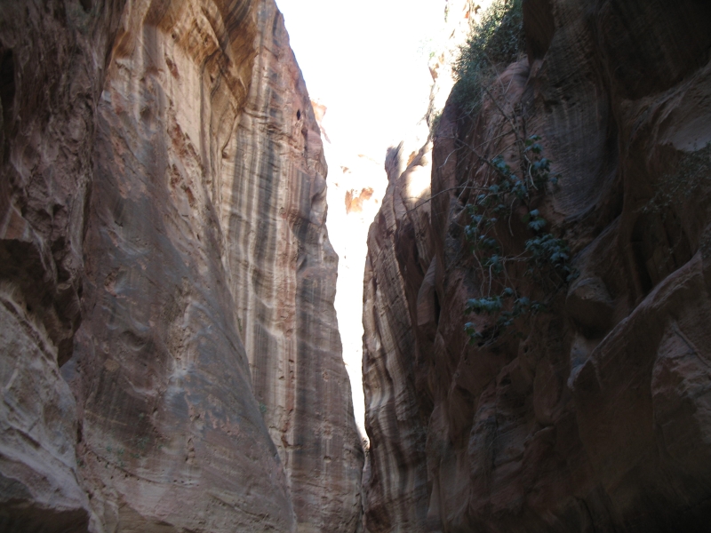 The Siq, Petra, Jordan