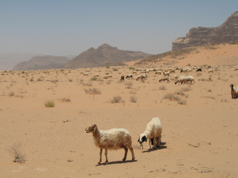 Wadi Rum, Jordan