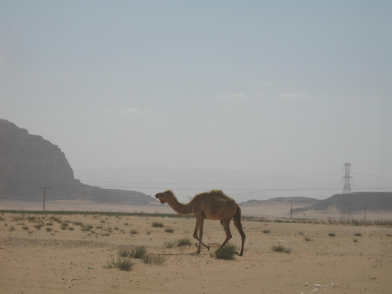 Wadi Rum, Jordan