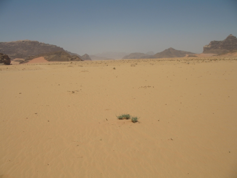 Wadi Rum, Jordan