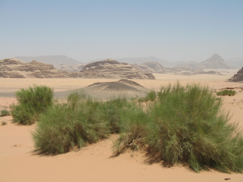 Wadi Rum, Jordan