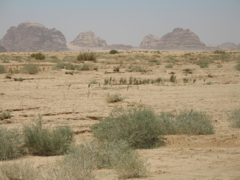 Wadi Rum, Jordan