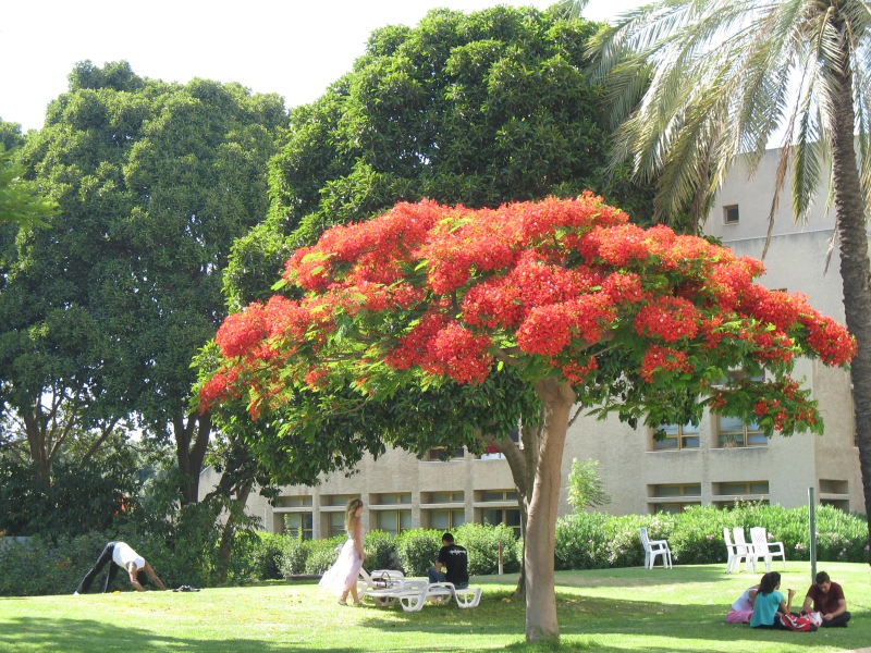 Tel Aviv University, Israel 