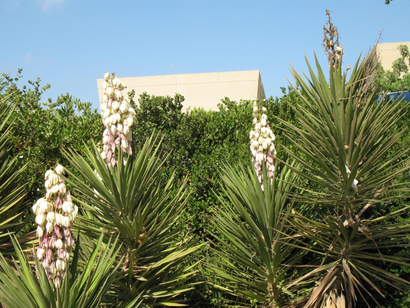 Tel Aviv University, Israel 