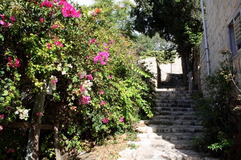  Ein Hod Artists Village, Israel