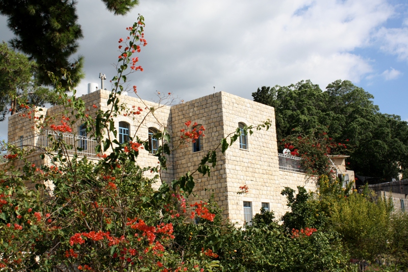  Ein Hod Artists Village, Israel