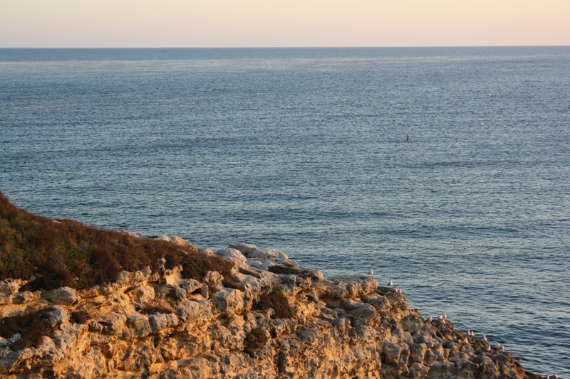 The Black Sea, Kiyikoy, Turkey