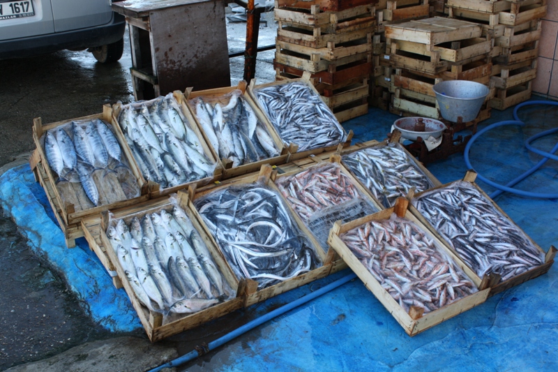  Kiyikoy Harbor, Marmara, Turkey