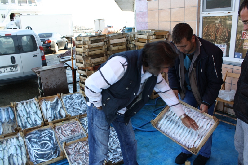 Kiyikoy Harbor, Marmara, Turkey