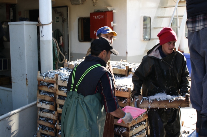  Kiyikoy Harbor, Marmara, Turkey