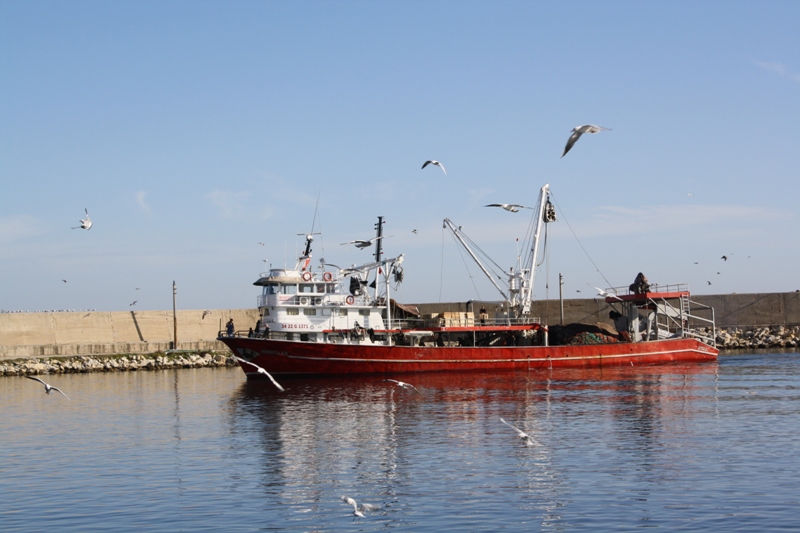  Kiyikoy Harbor, Marmara, Turkey