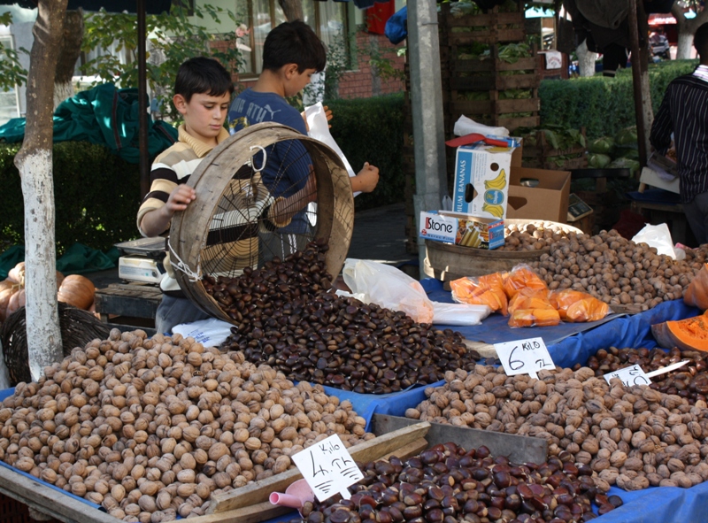  Selçuk, Turkey