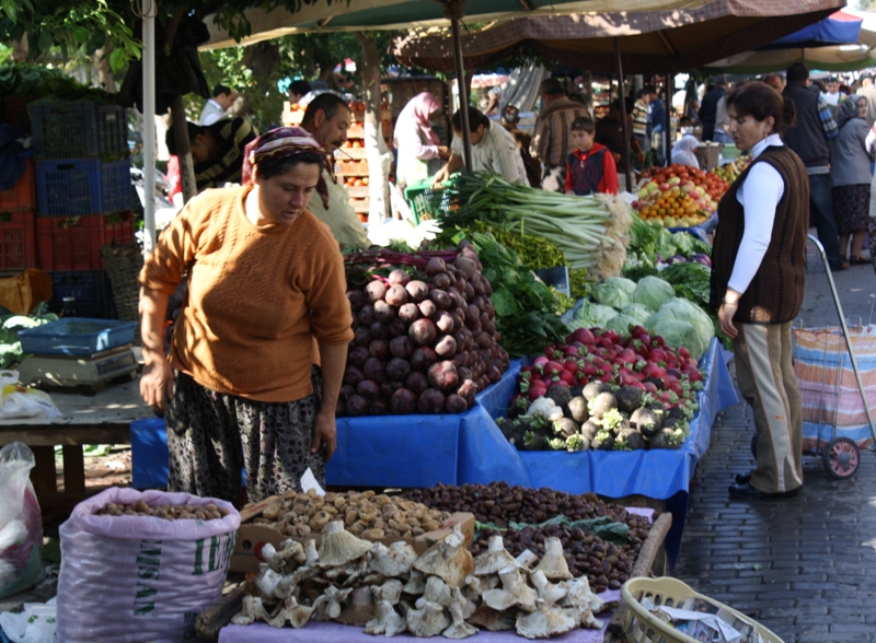  Selçuk, Turkey