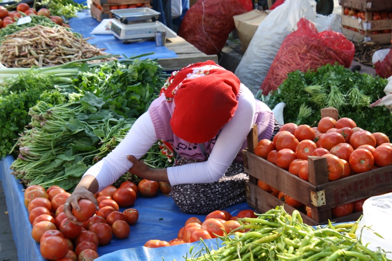  Selçuk, Turkey