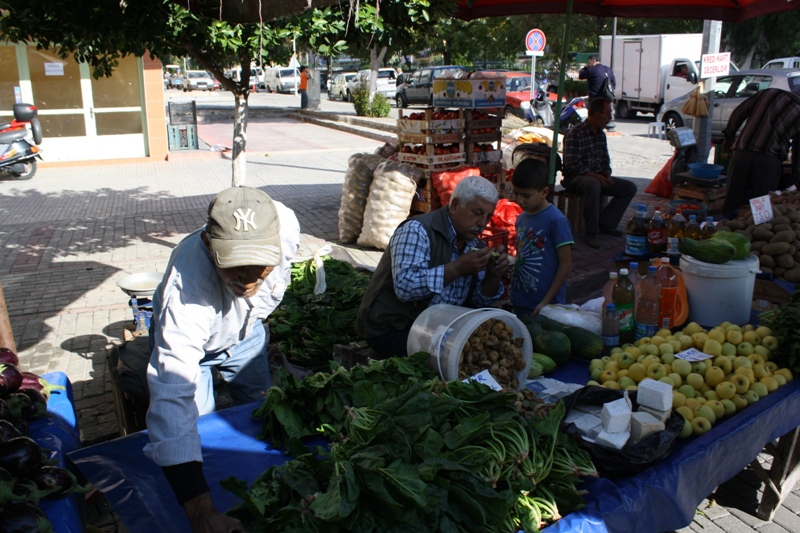  Selçuk, Turkey