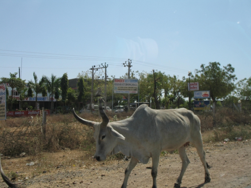 Rajasthan, India