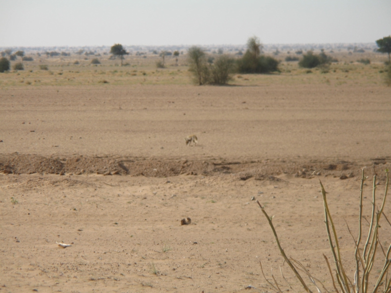 Rajasthan, India