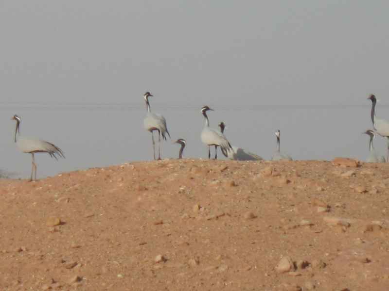 Rajasthan, India