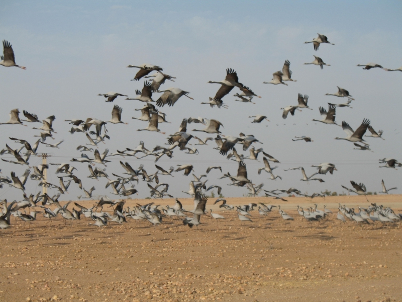 Rajasthan, India