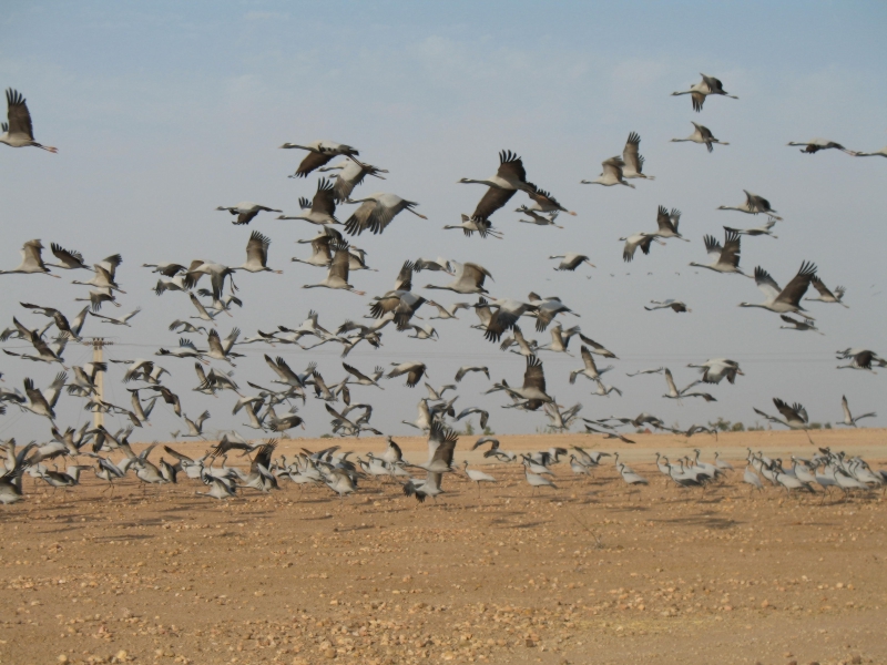 Rajasthan, India