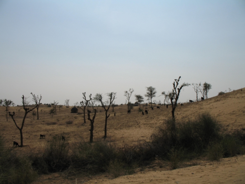 Rajasthan, India