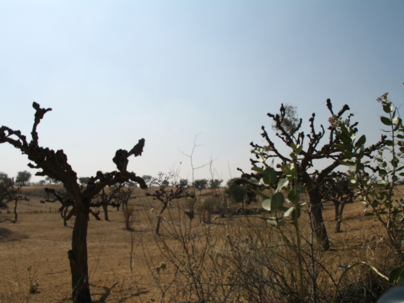 Rajasthan, India