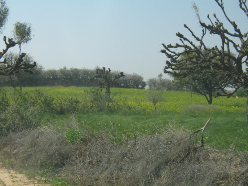 Rajasthan, India